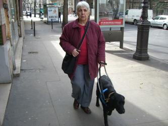 Voir la fiche du chien Elga: retraitée