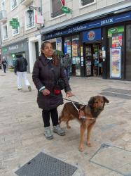 Voir la fiche du chien Gaïa : retraitée
