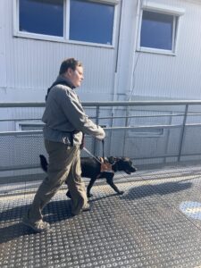 Telma guide son bénéficiaire sur une rampe metalique