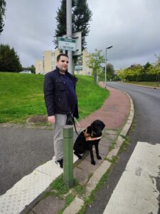Thémis est assise, sur la bande podotactile, devant le passage pieton, avec son bénéficiaire