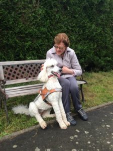 Lady est assise, calinée par sa bénéficiaire, assise sur un banc