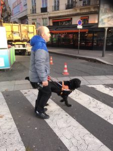 Malice guide sur un passage piéton