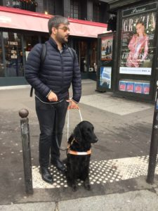 Nepia est assis sur une bande podotactile, devant un passage pieton