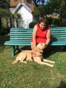 nessie est couché sur l'herbe, au pied de son beneficiaire qui la caline, assise sur un banc public