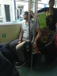 nuée est assise sous les jambes de son bénéficiaire, dans un bus