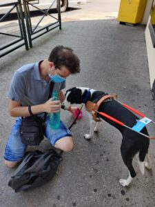 Orphée est calinée sur un trottoir par son bénéficiaire