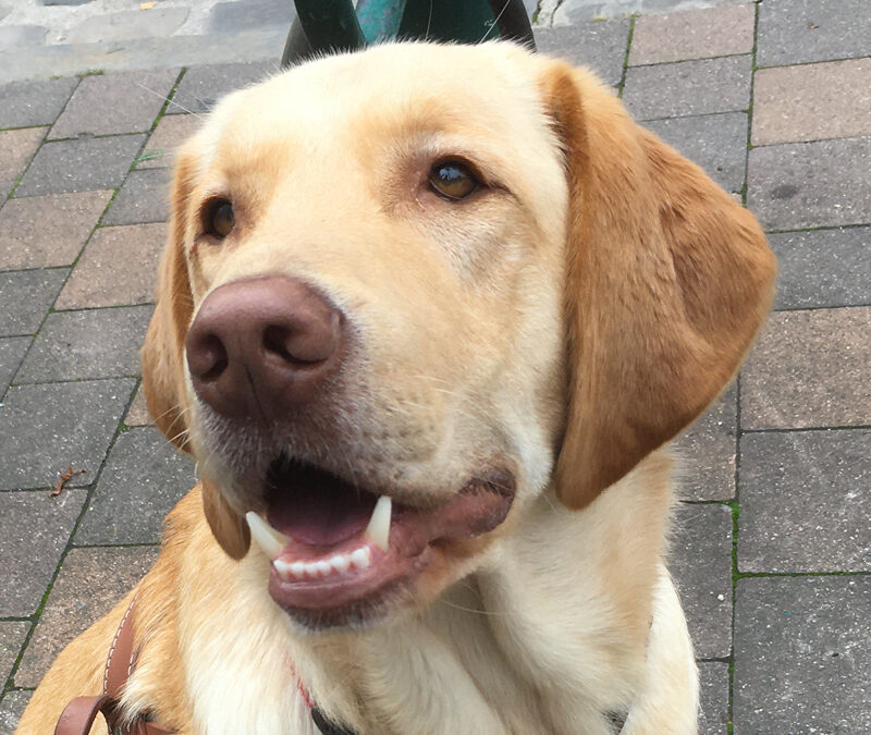 Oscar