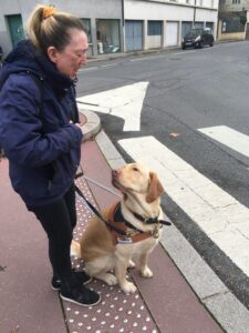 Oscar est récompensé devant un passage piéton
