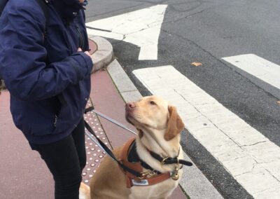 Oscar