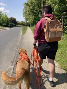 Ouragan, guide son maitre sur un chemin en bord de route