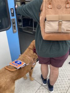 Ouragan, guide pour accéder aux portes du tramway