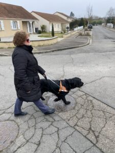 PAgnol guide sur une route grise
