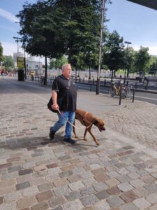 Pagnol guide son bénéficiaire sur des pavés