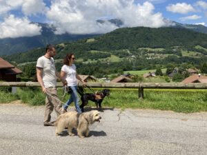prune et un autre chien-guide sont en promenade avec un couple, devant un beau paysage de montagne vert