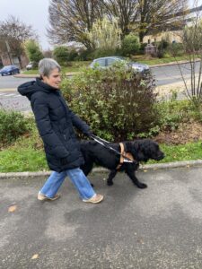 Sirius guide Marie-Laure le long de haies fleuries