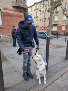 Hugo recompense ubby avant un passage pieton