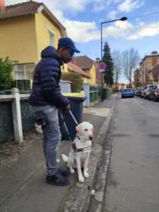Ubby marque l'arret le long d'un trottoir