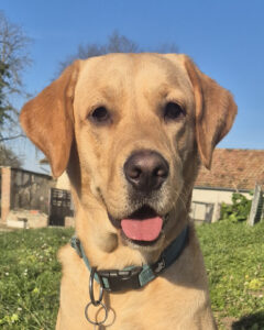 Umy portrait sur fond herbe et ciel