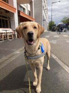 Umy, avec son dossard CIE