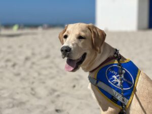 Urion pose sur la plage avec son dossard bleu d'élève sur le dos