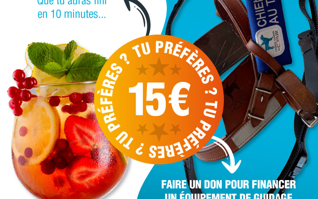 Tu préfères siroter un coktail en terrasse ou offrir un équipement complet de guidage à l'un de nos bénéficiaires