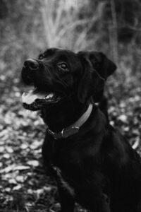 Portrait Vizir en noir et blanc