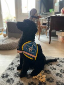 Vita assise sur un tapis, avec son dossard