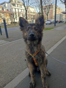 Seven est assise sur le trottoir