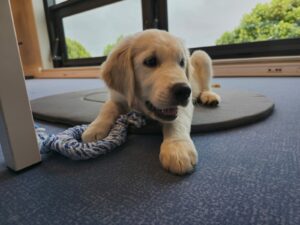 Vogue en gros plan sur son tapis au bureau