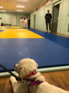 Vogue chiot est couché devant un tatami
