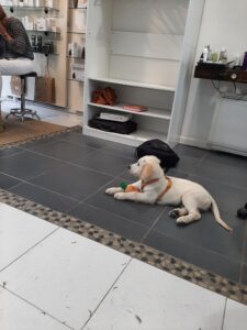 Vegas Chez le coiffeur