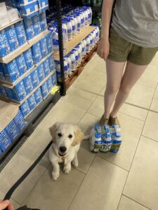 sortie au supermarché avec ma sœur, Vegas pose a côté d'un pack de lait