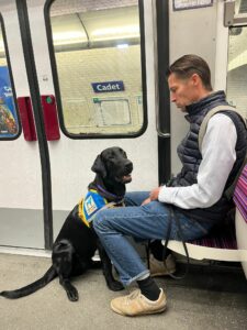 Aston labrador noir, assis devant un homme assis sur un strapontin dans le metro