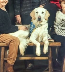 Vogue a fait l’exposition France un album de famille de Yann arthus Bertrand