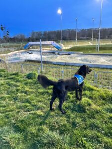 Volter, 15 mois, balade en famille base olympique de Vaires sur Marne, devant l’entrainement de l’équipe de France de Kayak