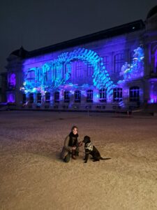 Aya labrador croisée Flatcoat noire, 9 mois, aux Illuminations du Jardin des plantes