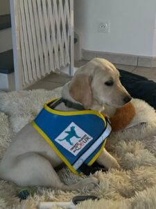 Adèle est assise sur un coussin avec dossard