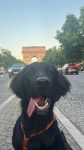 Aaron 6 mois devant arc de triomphe sur champs elysées