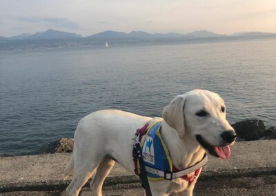 Alba