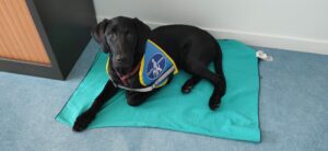 Aria est couchée sur une serviette