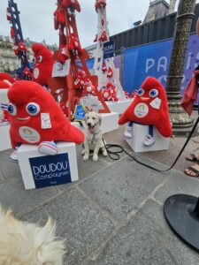 Vaiana, chien Golden d'environ 8 mois, pose assise sur le bitume entouré de deux grandes mascottes 'Phryges' des JO2024 et des peluches, avec le dossard bleu du CIE posé à côté d'elle en évidence