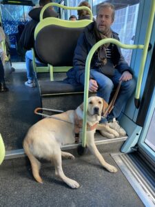 Tacos couché dans le bus