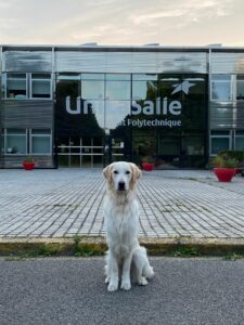Juin 2025 - 1 an 2 mois Vegas pose fièrement devant l’entrée d’UniLaSalle Beauvais, son école