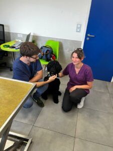Vita et 2 veterinaires