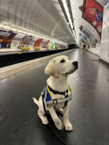 Volt est assis sur le quai du métro, avec son dossard