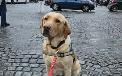 Le CIE Chiens Guides en fête, 19 septembre 2026