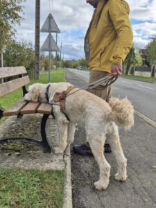 Urly donne le siège à Maxime