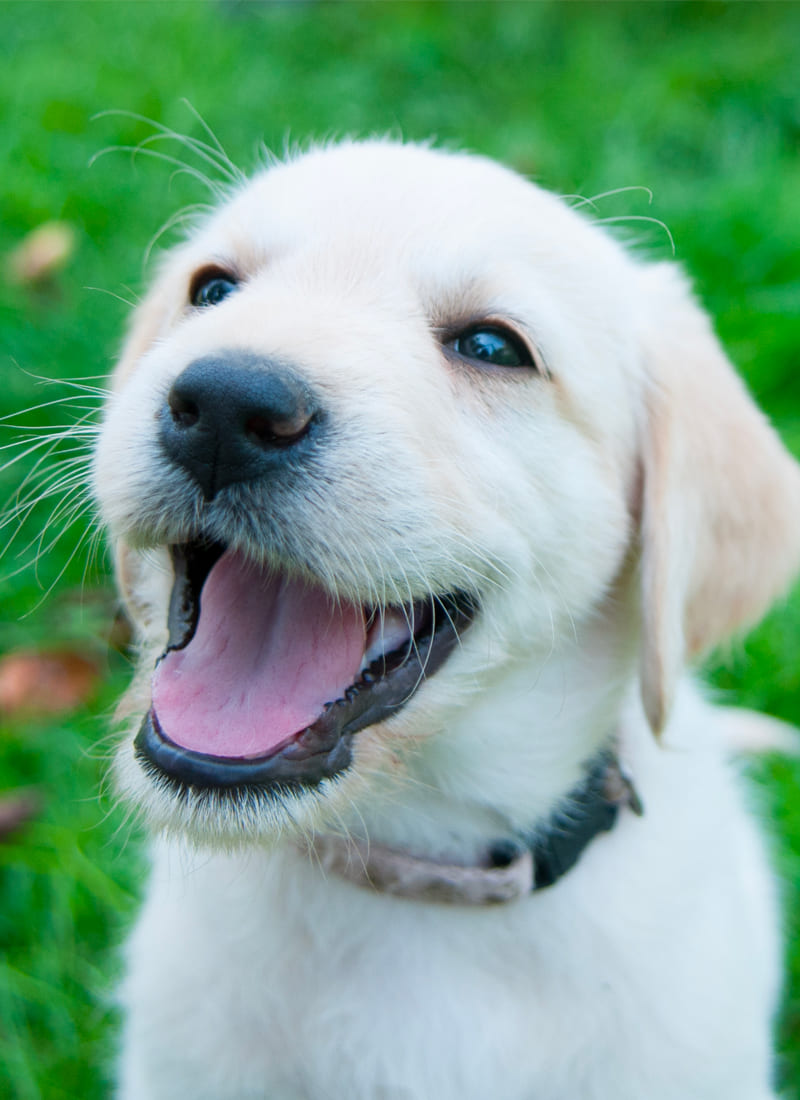 Campagne des dons décembre 2025