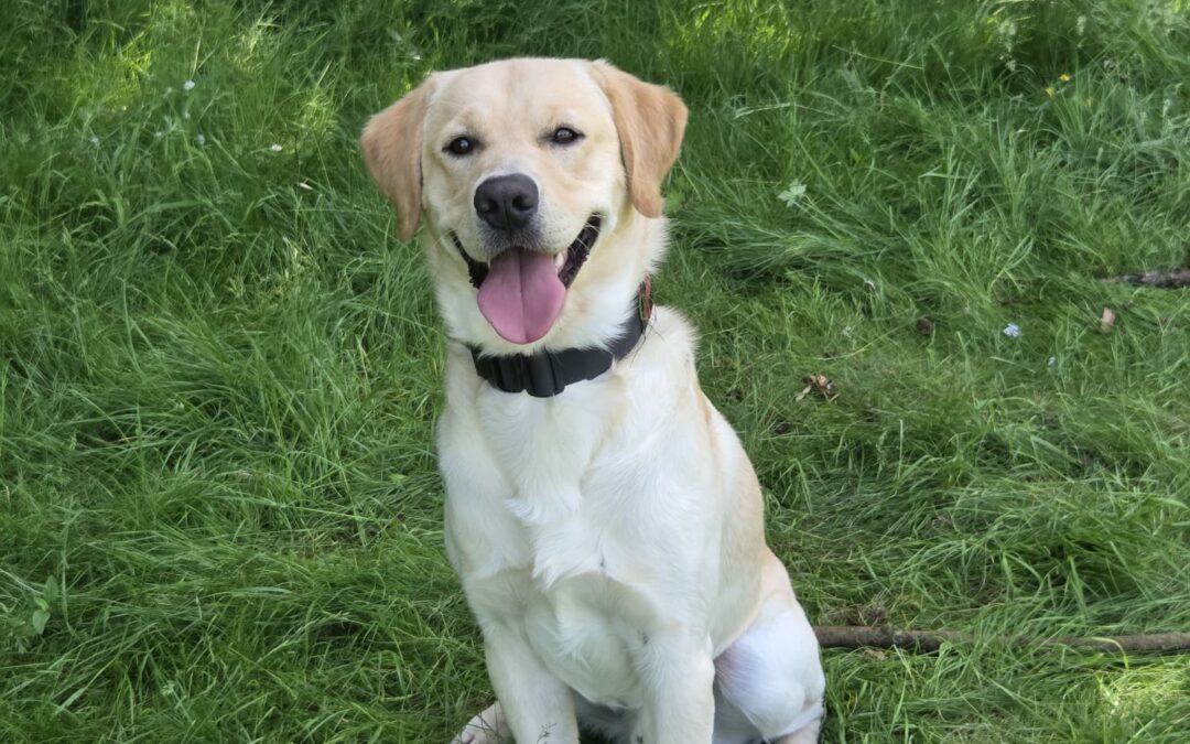 Albert cherche sa famille d&rsquo;adoption