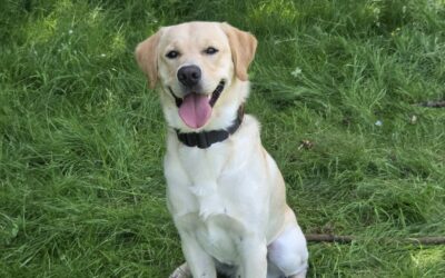 Albert cherche sa famille d&rsquo;adoption